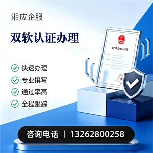 亳州双软认证申报服务