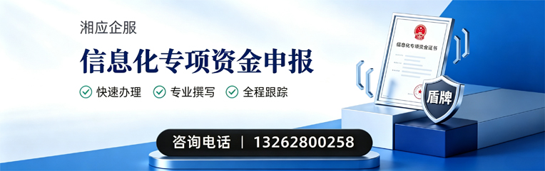亳州信息化专项资金申报服务