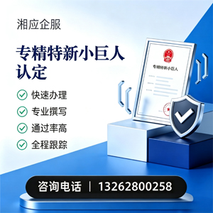 亳州专精特新小巨人申报服务