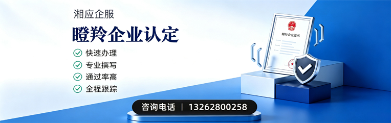 亳州瞪羚企业认定申报服务