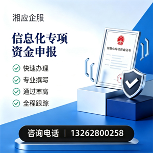 亳州信息化专项资金申报服务
