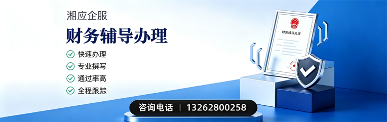亳州财务辅导申请服务