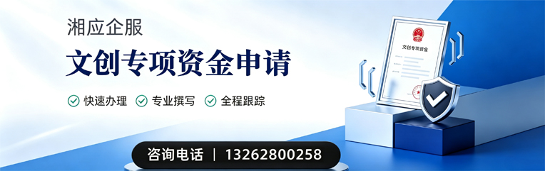亳州文创专项资金申报服务