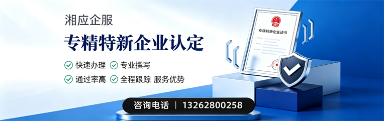 亳州专精特新企业申报服务