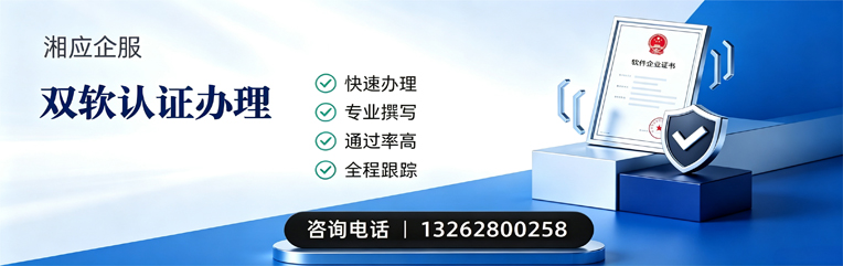 亳州双软认证申报服务