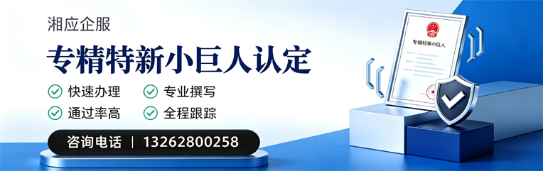 亳州专精特新小巨人申报服务